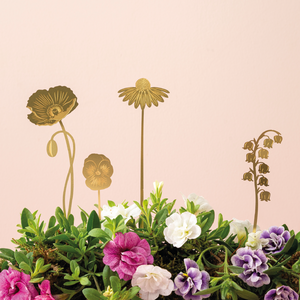 Our Garden set features a lovely little Pansy, a glorious Poppy, a delicate Lily-of-the-Valley and a bold Echinacea.