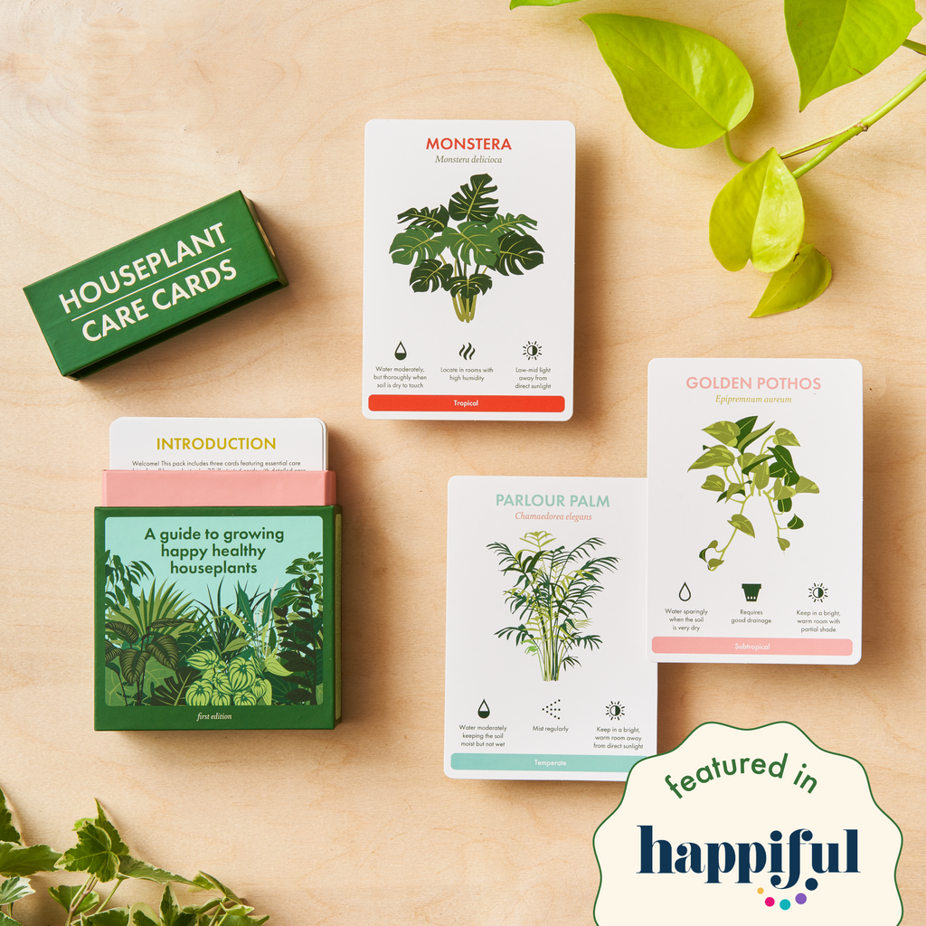 succulent studios care cards Houseplant care cards