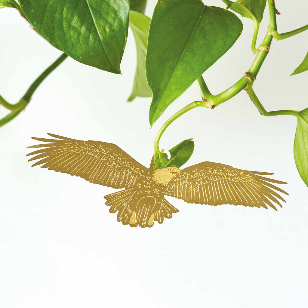 Bald Eagle Plant Animal house plant decoration – Another Studio