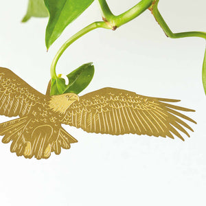 Plant Animal Eagle ~ Large edition