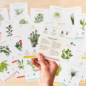 indoorplant care cards and zz plant