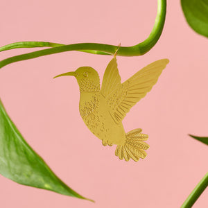 hummingbird plant animal decoration by another studio