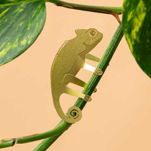 cute chameleon for your plants