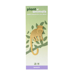 Plant Animal Tamarin