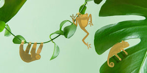 Plant Animal tree frog, chameleon and sloth houseplant gift plant decoration 