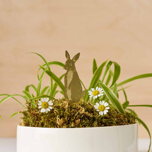 your home magazine plant animal rabbit decoration