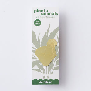 Plant Animal Dachshund ~ Pet Edition