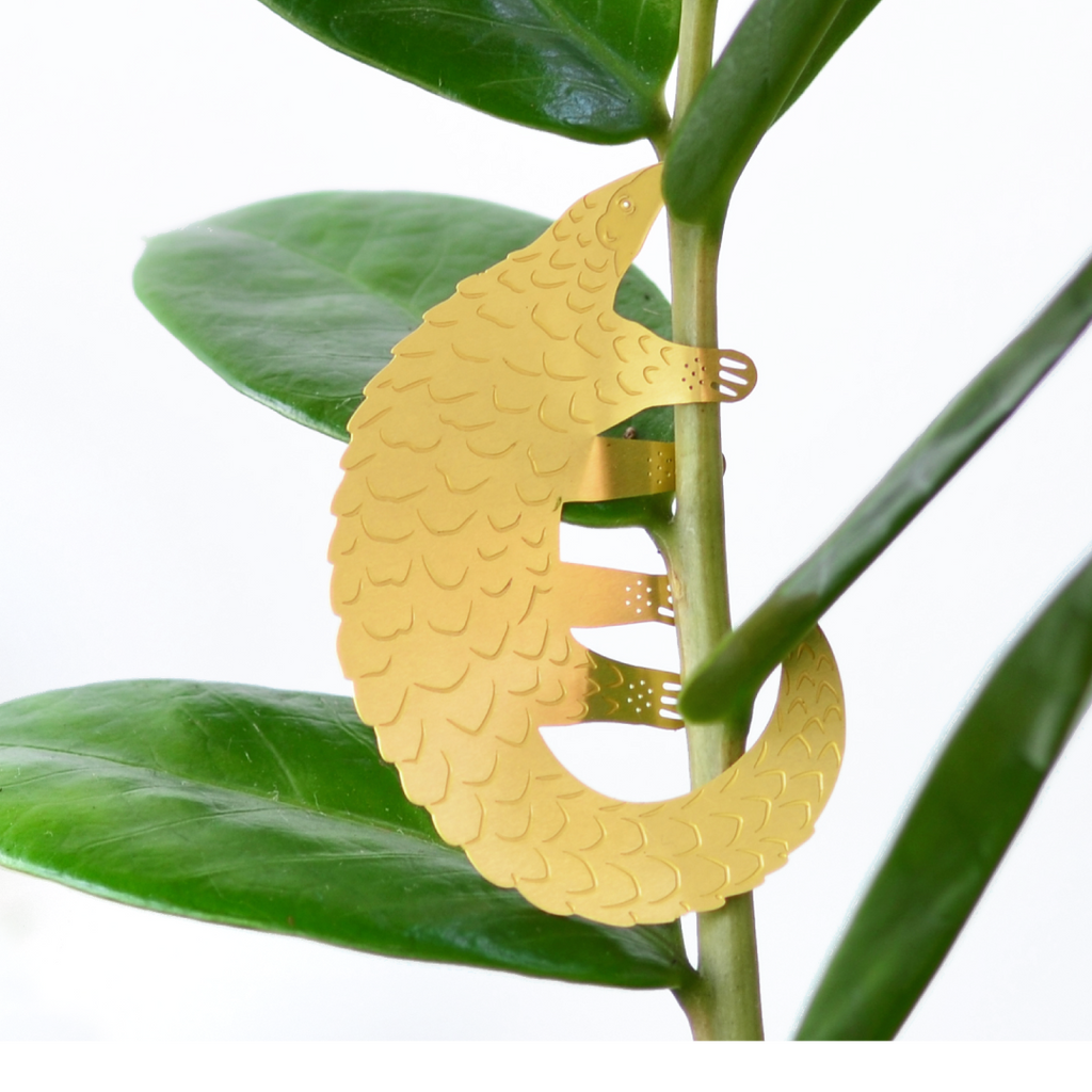 pangolin succulent Plant Animal Pangolin