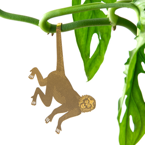 Plant Animal Set - Primates x5