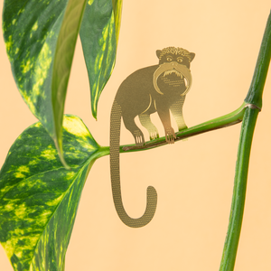 Plant Animal Set - Primates x5