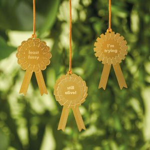 plant awards for houseplants