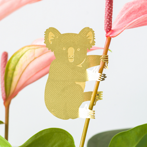 koala plant animal decoration