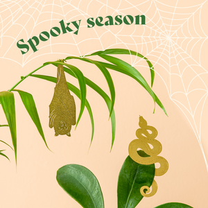 Cute Halloween decor for your plants