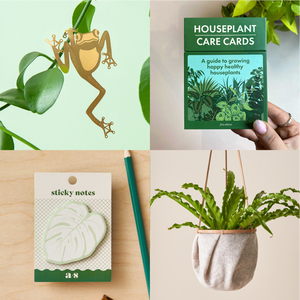 Best affordable gift ideas for Plant Lovers this Christmas