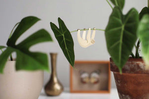 Houseplant care tips to beginners