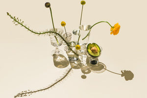 Inspiration: Suzanne Saroff