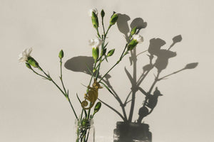 quirky valentines gifts for plant lovers