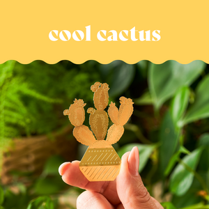 Cacti gifts