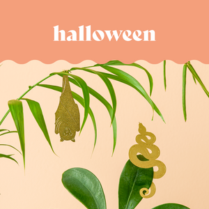 Halloween picks
