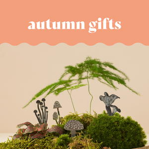 Autumnal Gifts