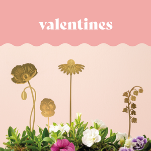 Valentine's Day gifts