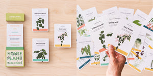 Plant Care guides