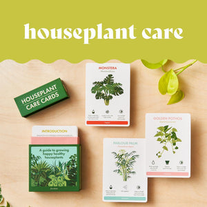 New plant parent gifts