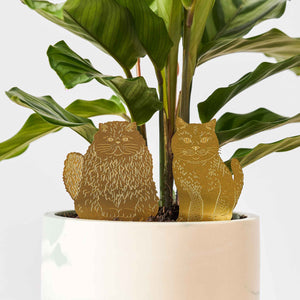 cute gifts for cat lovers
