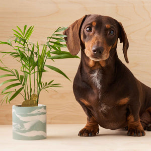 cute and unique gifts for dog lovers