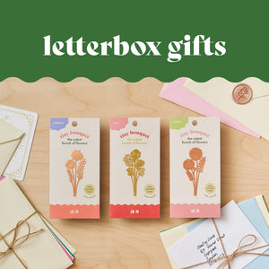 letterbox gifts to send in the post by another studio 
