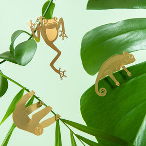 houseplant gifts sloth, chameleon and frog on green leaves