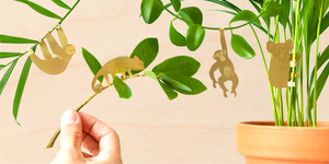 cute house plant gifts plant animals