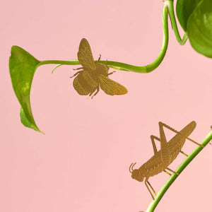 grasshopper and bumblebee plant decoration on a pothos