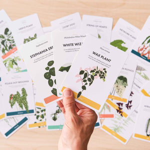 Houseplant Care Cards edition 2