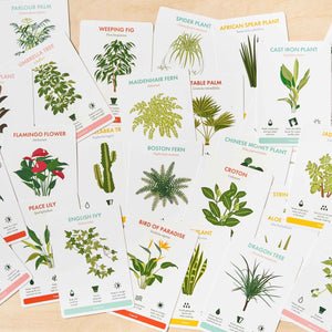 house plant information cards 