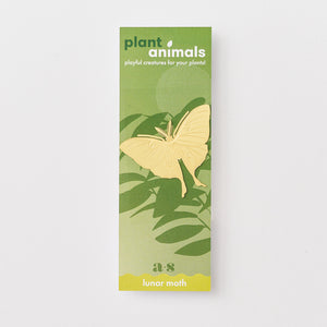 Plant Animal Luna Moth