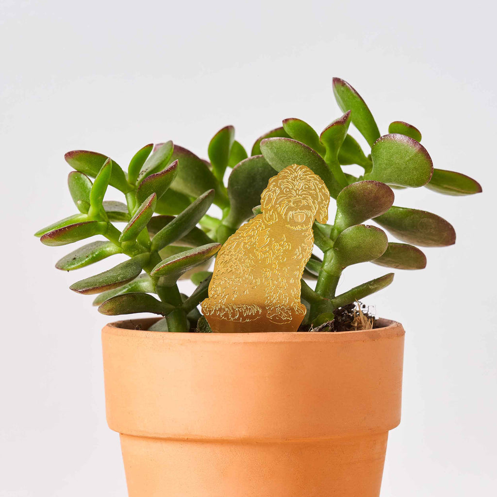 Cockapoo Plant Stand Cockapoo Plant Animal dog | Pet gifts for dog lovers – Another Studio