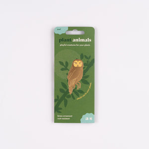 Owl Plant Animal | Fun houseplant gifts  Another Studio