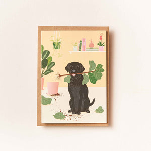 labrador with houseplant greetings card