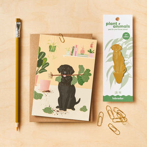 labrador plant animal and greetings card