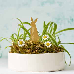 another studio rabbit plant animal decoration