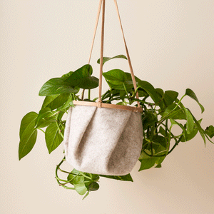 Sew Your Own: Hanging Plant Pot Kit (felt included)