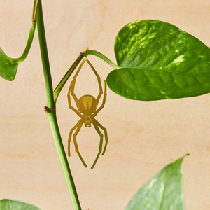 Spooky Plant Animal Set of 3 - Spider, bat, snake