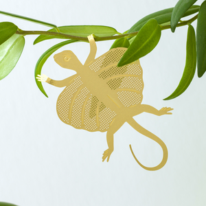 Plant Animal Flying Lizard