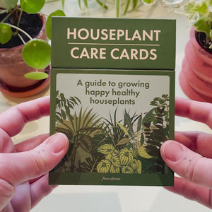 house plant care guide 