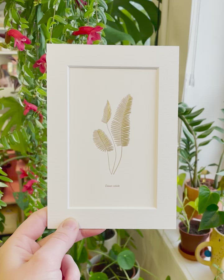 Dioon Edule golf foil stamped art botanical houseplant Print