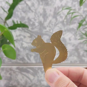 Plant Animal Squirrel decoration 