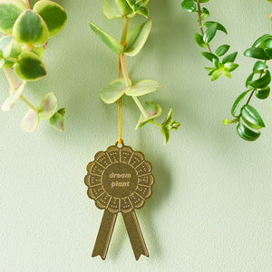 Dream Plant decorations and accessories