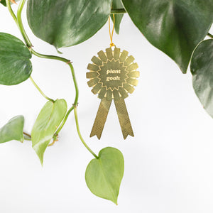 Fun plant gifts for all plant lovers