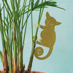 bush baby plant animal